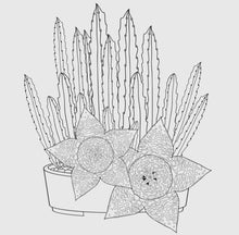 Load image into Gallery viewer, Succulent Adult Coloring Book